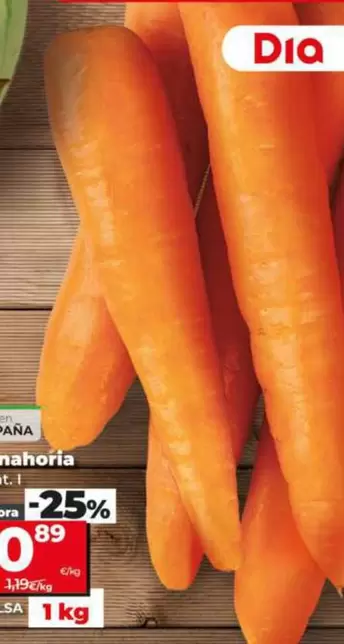 Zanahoria
