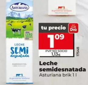 Asturiana - Leche Semidesnatada Brik 1 L