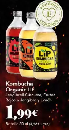 Kombucha -  Organic