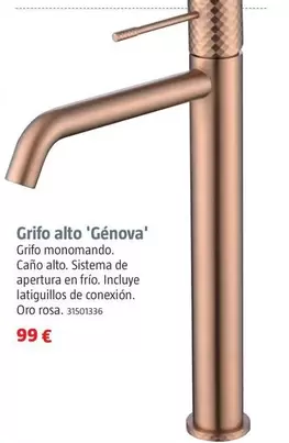 Grifo Alto Génova 