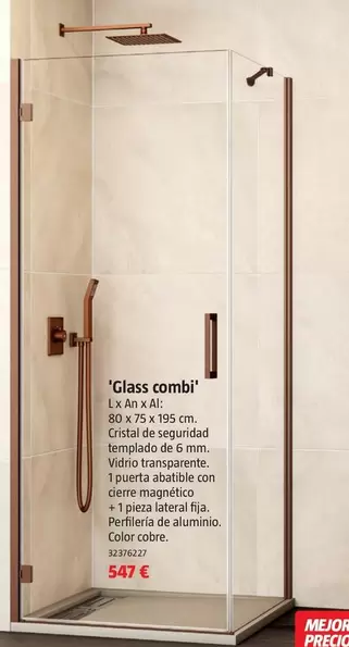 Mamparas Con Puerta Abatible 'Glass Combi'