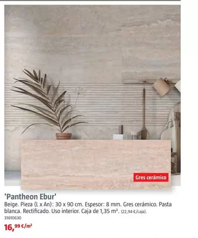 Revestimientos 'Pantheon Ebur'