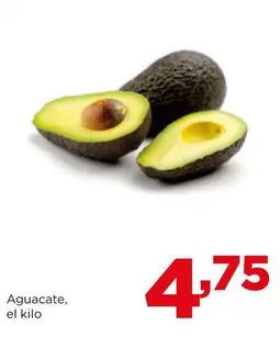 Aguacate