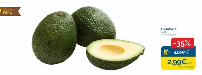 origen - Aguacate