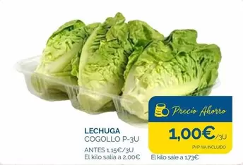 Lechuga Cogollo P-3u