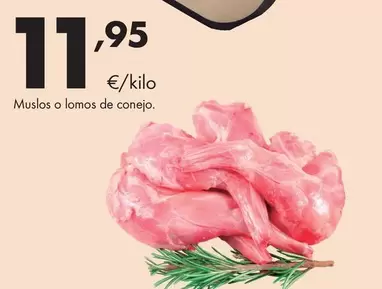 Muslos O Lomos De Conejo
