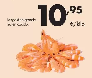 Langostino Grande Recien Cocido