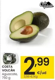 Costa Volcán - Aguacate