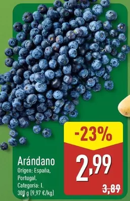 Arándano