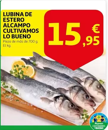 Alcampo - Cultivamos Lo Bueno Lubina De Estero 
