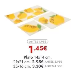 Plato
