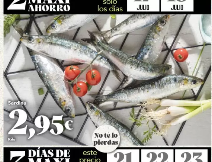Solo - Sardine