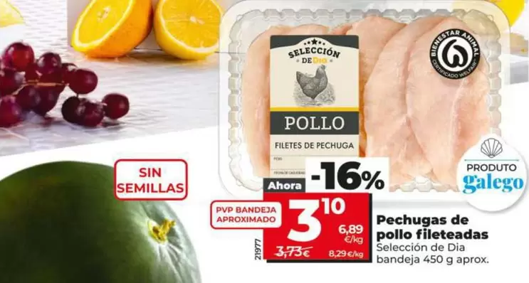 Seleccion De Dia - Pechugas De Pollo Fileteadas
