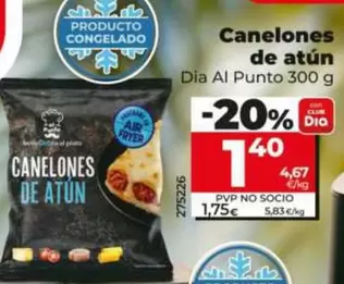 Dia Al Punto - Canelones De Atún