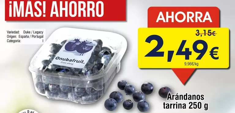 Mas - Arándanos Tarrina