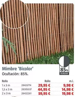Mimbre 'Bicolor'