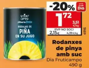 Dia Fruticampo - Rodajas De Piña En Su Jugo 490 G