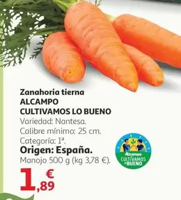 Alcampo - Zanahoria Tierna