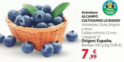 alcampo - Arándano Cultivamos Lo Bueno