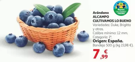 Alcampo - Arándano 