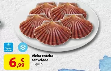 Vieira Entera Conxelada