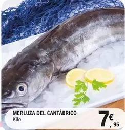Merluza Del Cantábrico
