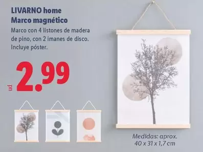 Livarno Home - Marco Magnético