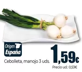 Cebolleta, Manojo