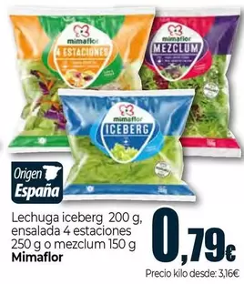 Mimaflor - Lechuga Iceberg, Ensalada 4 Estaciones O Mezclum