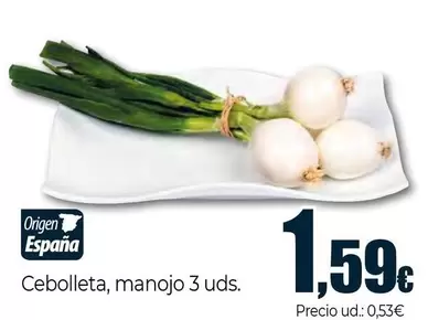 Cebolleta, Manojo