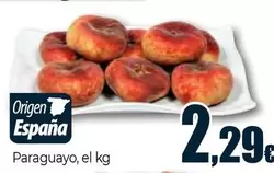 Paraguayo