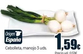 Cebolleta, Manojo