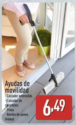 Ayudas De Movilidad 