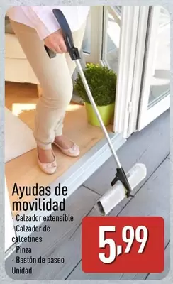 Ayudas De Movilidad