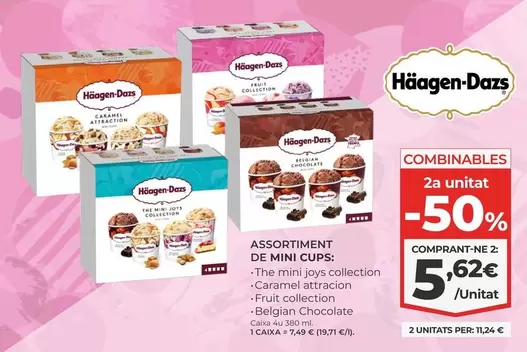 Häagen-Dazs - Assortiment De Mini Cups