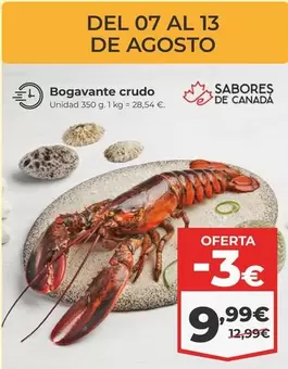 Bogavante Crudo