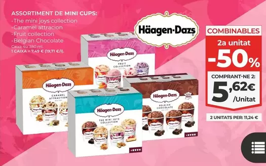 Häagen-Dazs - Assortiment De Mini Cups