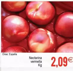 Nectarina Vermella