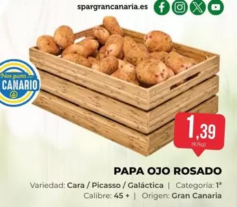 Oxo - Papa Ojo Rosado