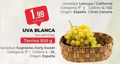 origen - Uva Blanca