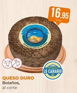bolaños - Queso Duro