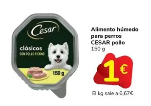 Cesar - Alimento Húmedo Para Perros Pollo