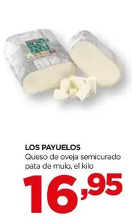 Queso De Oveja Semicurado Pata De Mulo