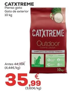 Catxtreme - Pienso Gato/ Gato Exterior