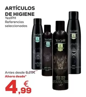 Yes!Ph - Articulos De Higiene