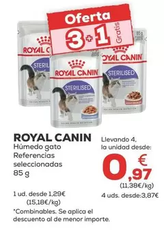 Royal Canin - Humedo Gato Referencias Seleccionadas