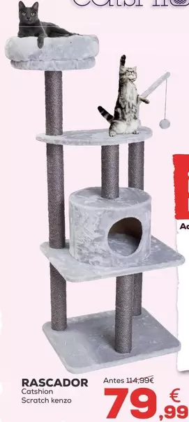 Catshion - Rascador