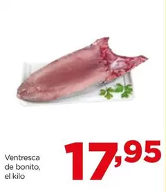 Ventresca De Bonito