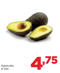 Aguacate