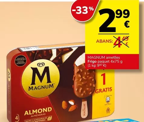 Frigo - Magnum Ametlles 